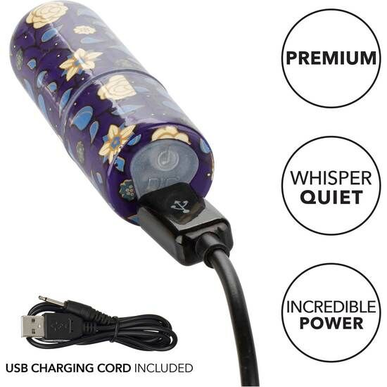 vybrator-just-the-tip-rechargeable-clitoral-stimulator-88989920182035_-9642c8f9c5