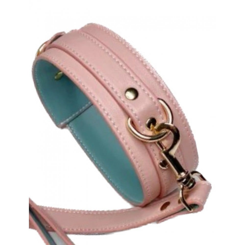 osheinyk-s-povodkom-ds-fetish-collar-with-leash-pink-34977644790163_-198a8b944b