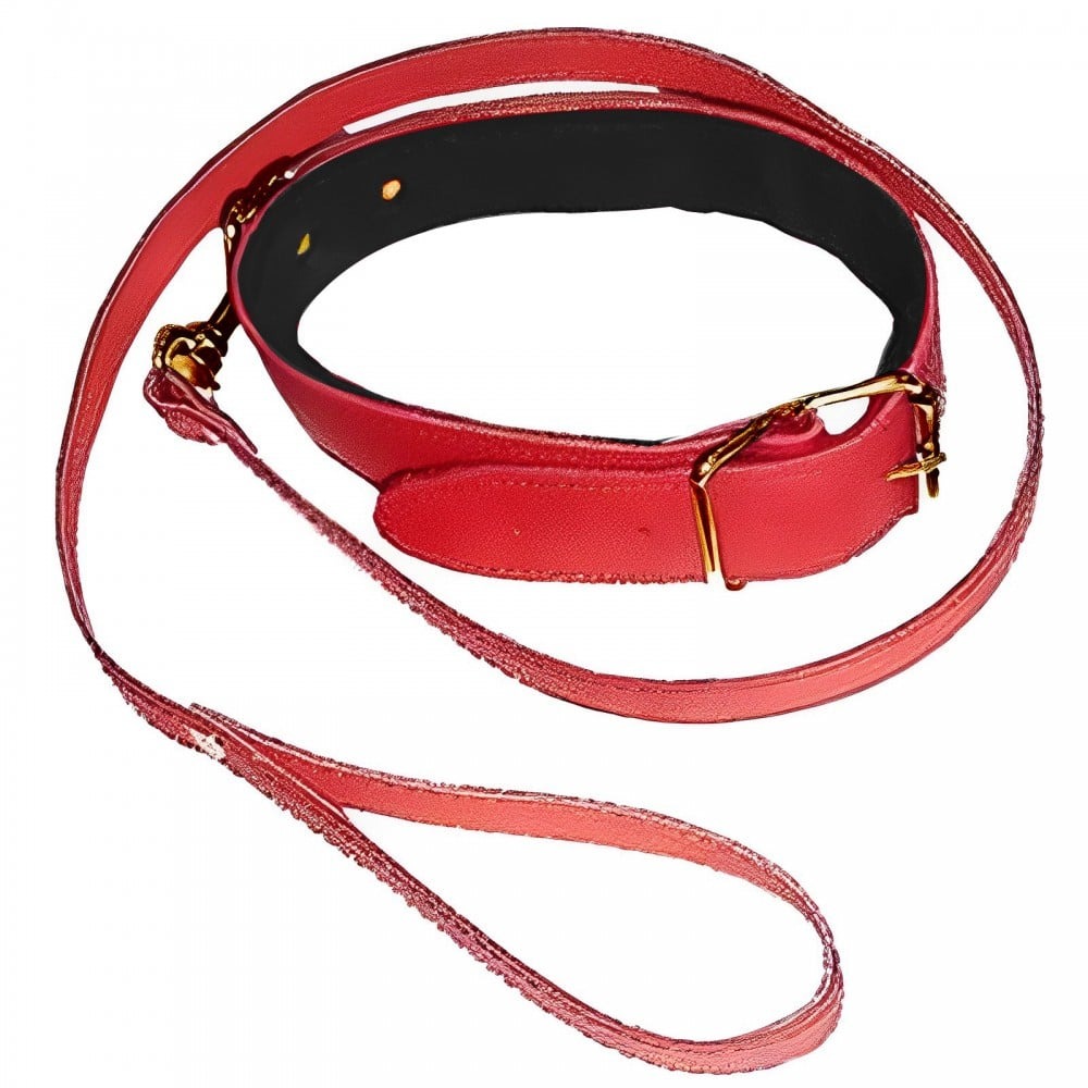 osheinyk-s-povodkom-ds-fetish-collar-with-leash-red-68775995272879_-c480b1e489