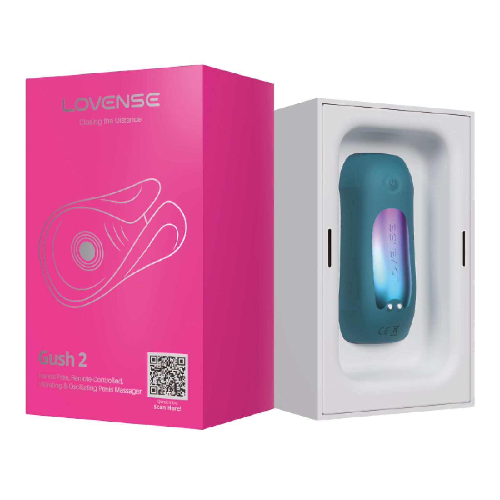 sx1313-98586248861442